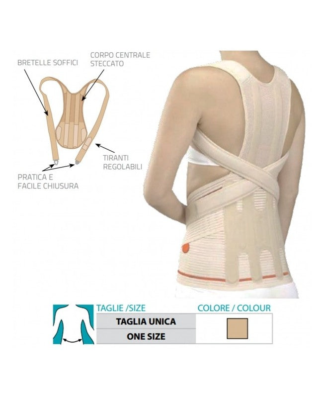 Dorsolumbar Support - Ref. 479 ST